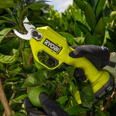 210226_RY_R18SEC_PRUNING_SECATEURS_015